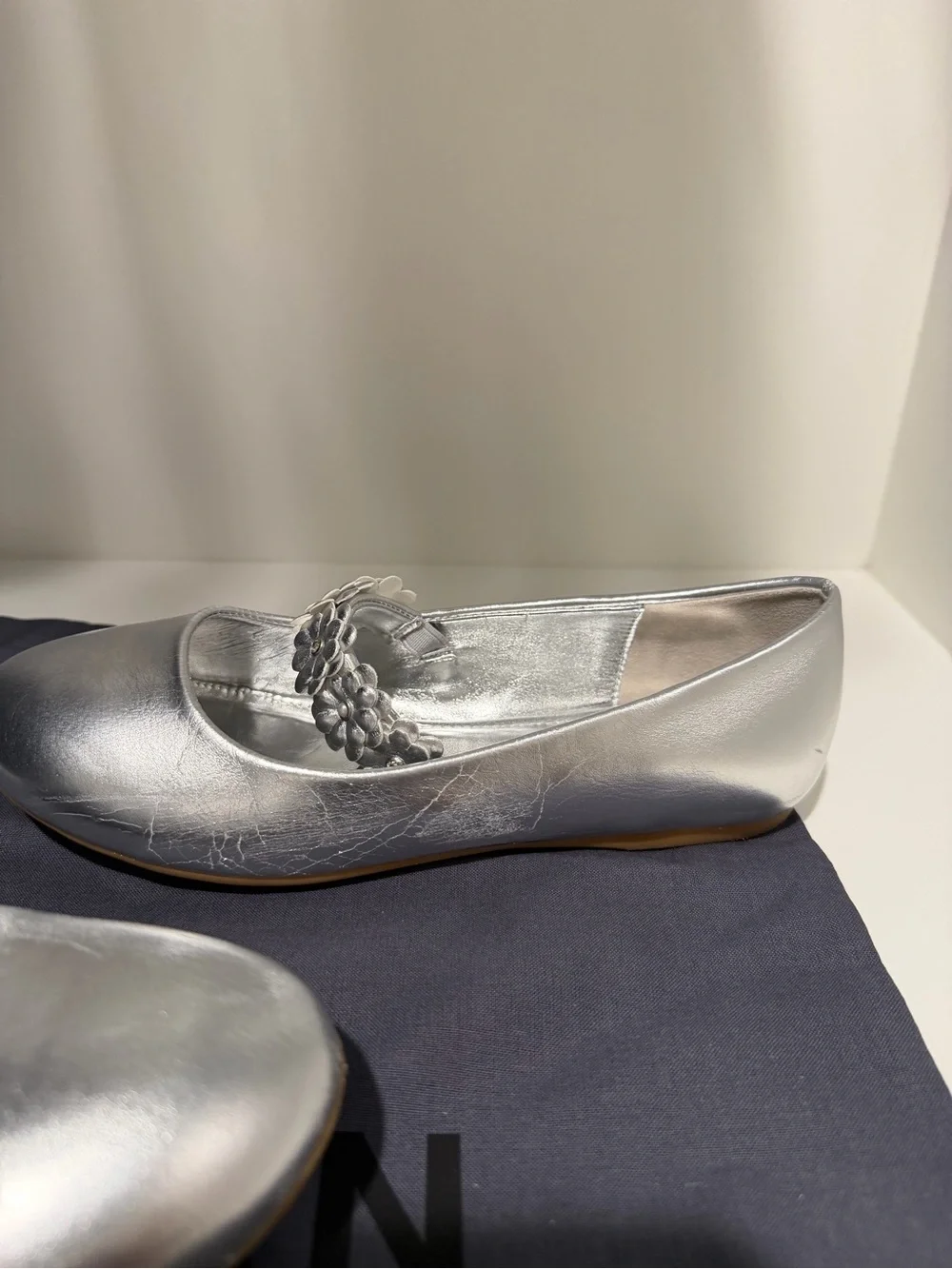 Nina Girls Rozy Silver Metallic Ballet Dress Shoes